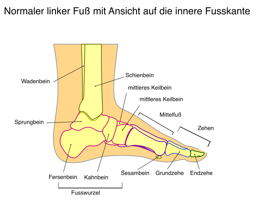 Fuß Füße Sprunggelenk Zehen Arztpraxis Lüneburg Dr. med. Thomas Hartmann